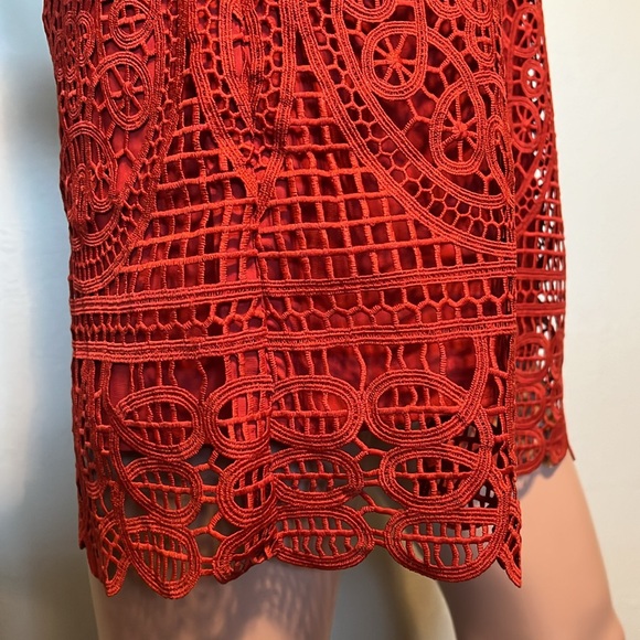 Lovers and Friends Caspian Red Lace Shift Dress - Picture 7 of 11